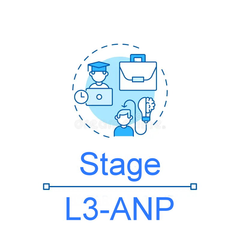 Stage pour les L3 ANP