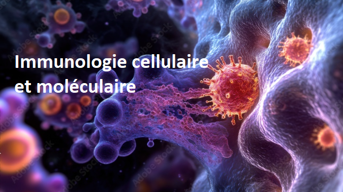 Immunologie cellulaire et moléculaire 