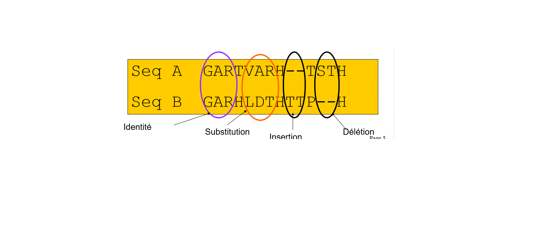 Alignement et traitement des séquences génomiques