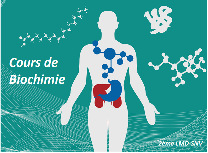 Biochimie Structurale