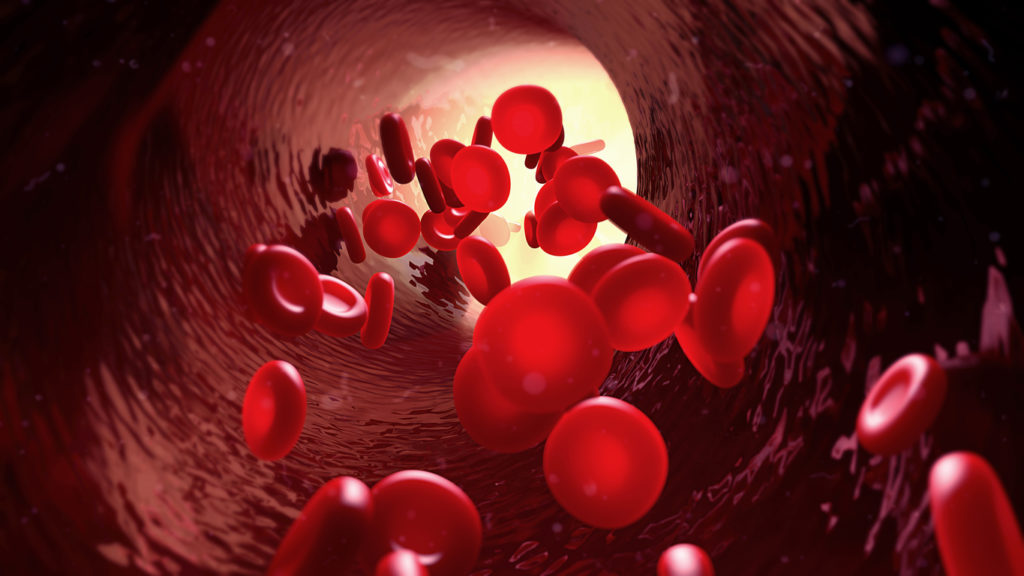 Blood and Hemopoiesis