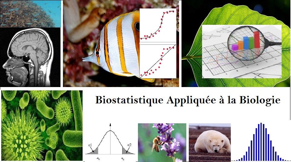 Biostatistiques