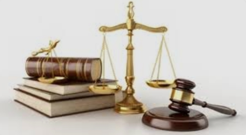 المدخل الى العلوم القانونية