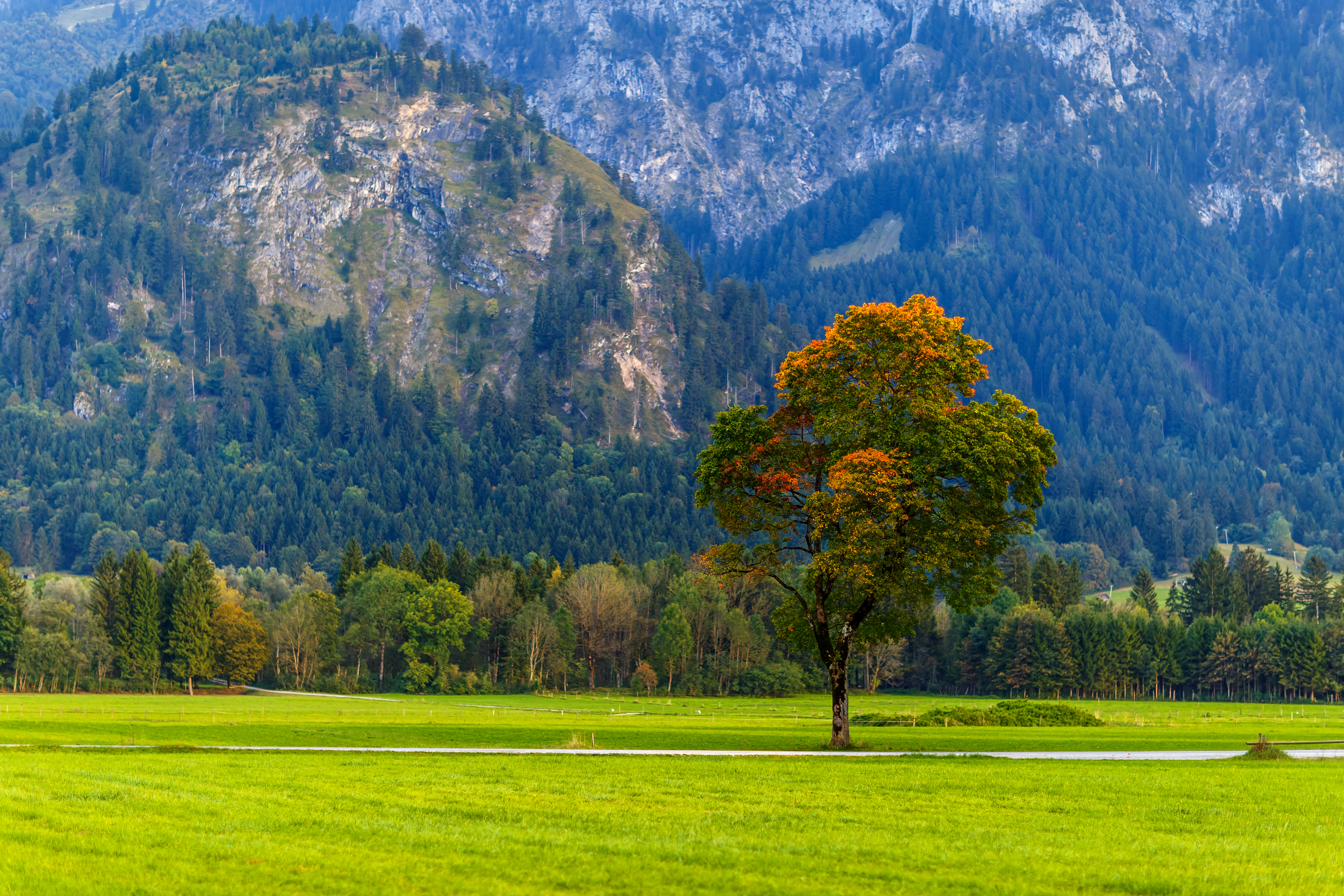 TD écologie générale